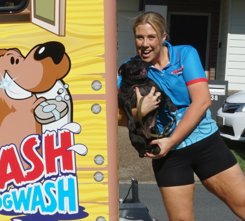 Dash DogWash Emma, Dash DogWash Yarrabilba. QLD. Dog Groomer.